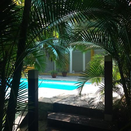 Chambre D'Hote Et Loft Dans Maison De Charme Piscine A Debordement La Villa Gialla Schoelcher Bagian luar foto