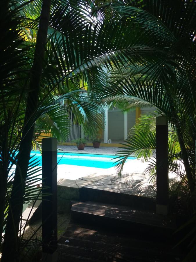 Chambre D'Hote Et Loft Dans Maison De Charme Piscine A Debordement La Villa Gialla Schoelcher Bagian luar foto