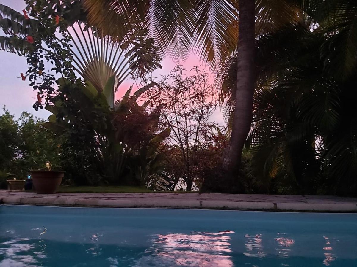 Chambre D'Hote Et Loft Dans Maison De Charme Piscine A Debordement La Villa Gialla Schoelcher Bagian luar foto
