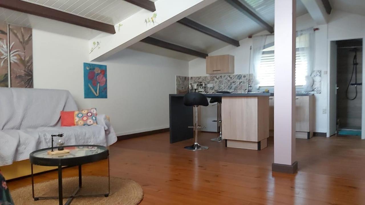 Chambre D'Hote Et Loft Dans Maison De Charme Piscine A Debordement La Villa Gialla Schoelcher Bagian luar foto