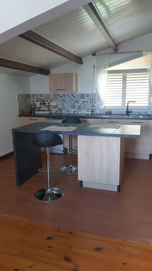 Chambre D'Hote Et Loft Dans Maison De Charme Piscine A Debordement La Villa Gialla Schoelcher Bagian luar foto